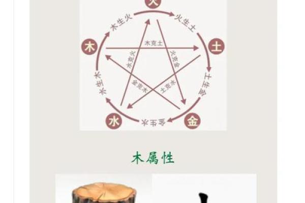 大林木命之间的相配性解读