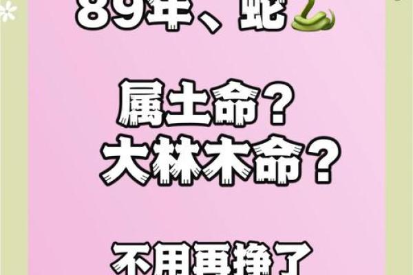 大林木命之间的相配性解读