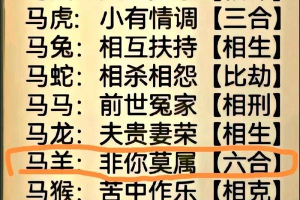 马狗生肖配对是否能长久？了解背后的相合与相冲