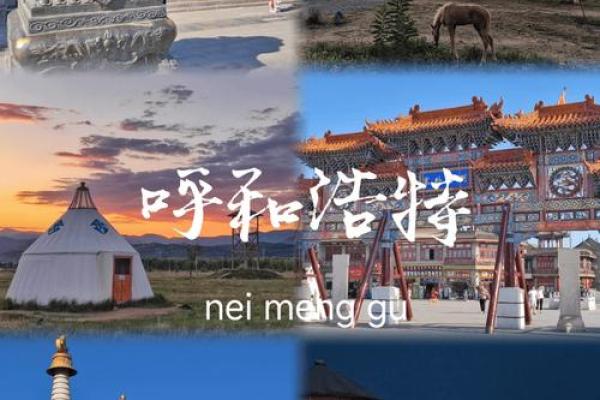 从草原到城市：内蒙古名字的文化印记