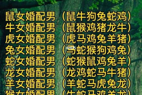 八字婚配揭秘：结婚前必做的生辰八字查询方法