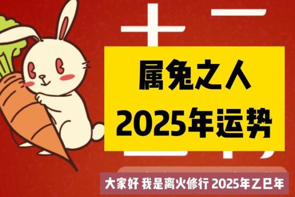 属兔运势详解及每月运程分析