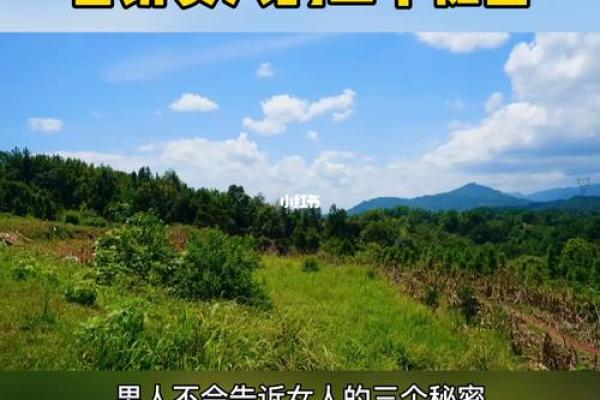 揭秘男命双桃花，命运中隐藏的爱情秘密