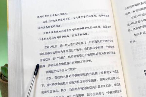避免重复名字的策略与技巧