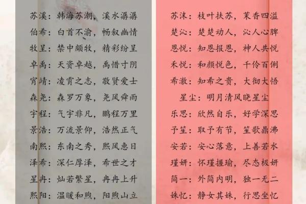 宝宝起名指南：让你的孩子名字更具魅力