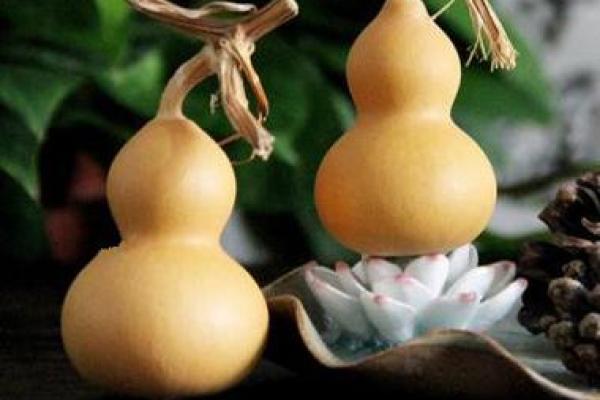 办公室摆放葫芦的风水讲究与注意事项