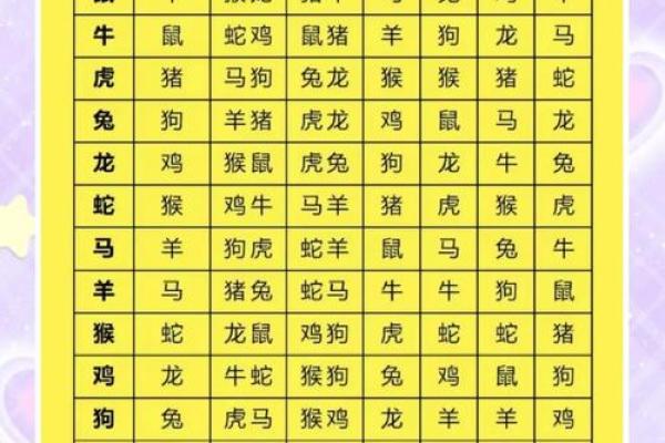 兔与老鼠的完美配对：如何理解这对天然组合