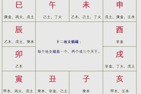 陈浩宇五行解析：如何通过五行了解命运奥秘？