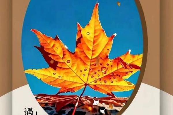 农历九月十四，跟随传统习俗迎接好运