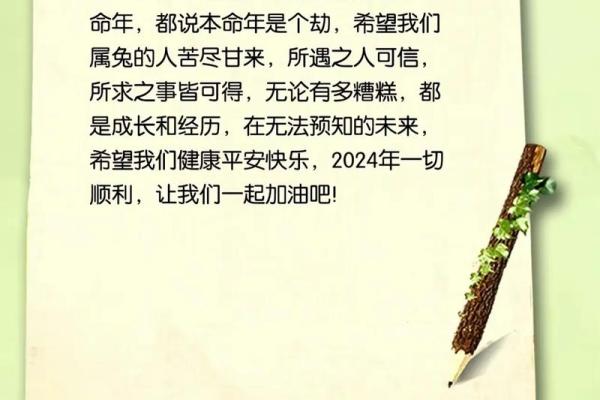 兔男本命年如何避免健康隐患