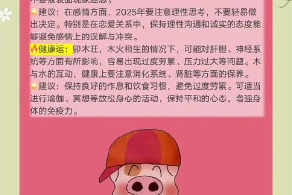 属猪男和属蛇女的性格契合度分析