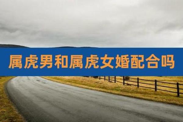 属虎与属鸡的爱情配对情况