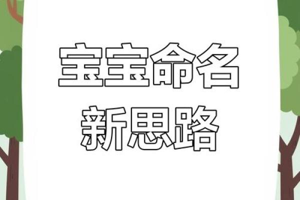 探索宝宝名字的文化背景与寓意
