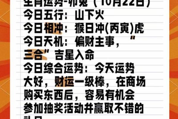 属兔人运势变化与应对策略