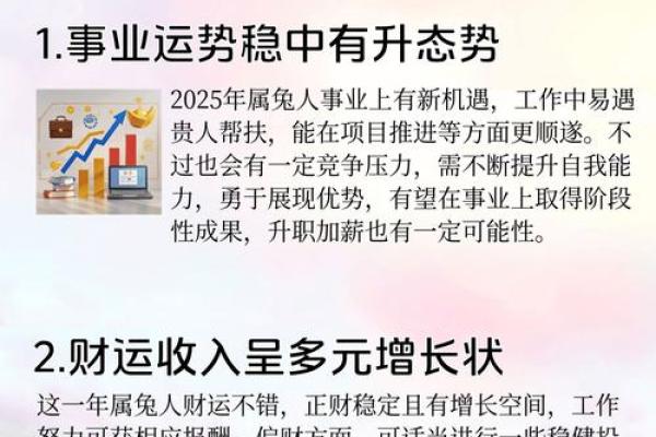 属兔人运势变化与应对策略