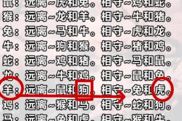 属鼠女和属羊男的感情走向与挑战