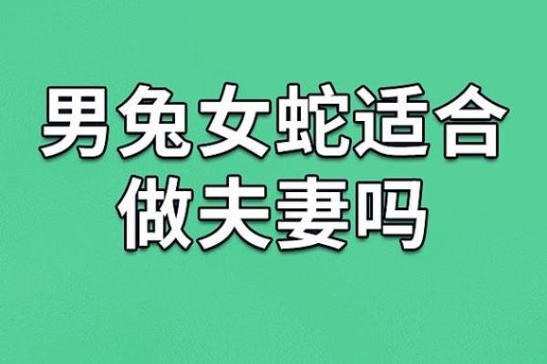 从生肖看男马女兔婚姻：缘分与挑战并存