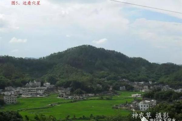 岑溪坟墓风水的奥秘与选择指南