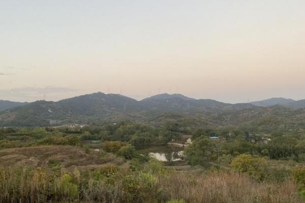 从祖传风水到现代生活 王君植的智慧传承