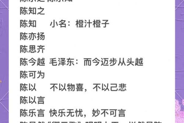 陈姓男孩的名字选择技巧与寓意解析