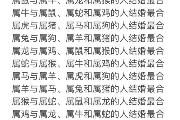 属龙男与属虎女的婚姻：摩擦中的成长与和谐