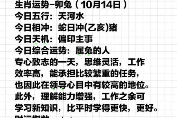 属兔运势全解析