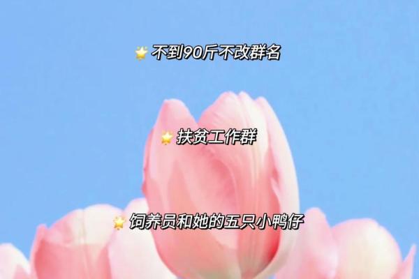 创意十足的好听微信群名字推荐，让你的群聊更有吸引力