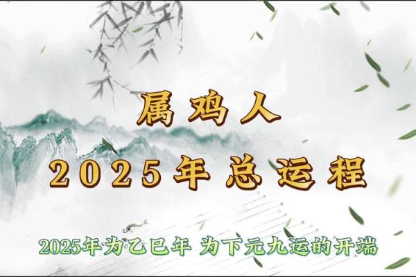 属鸡人运程每月详解：事业与感情走向
