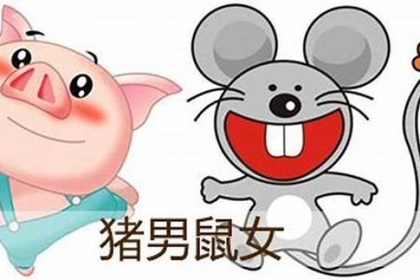 男鼠女鼠配对是否合适的八大因素分析