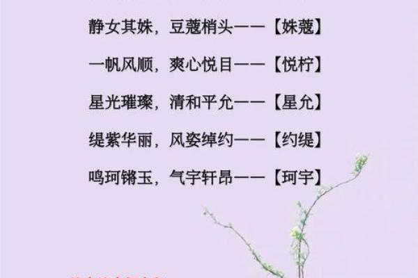 宝宝起名字测试：帮你挑选寓意深远的名字