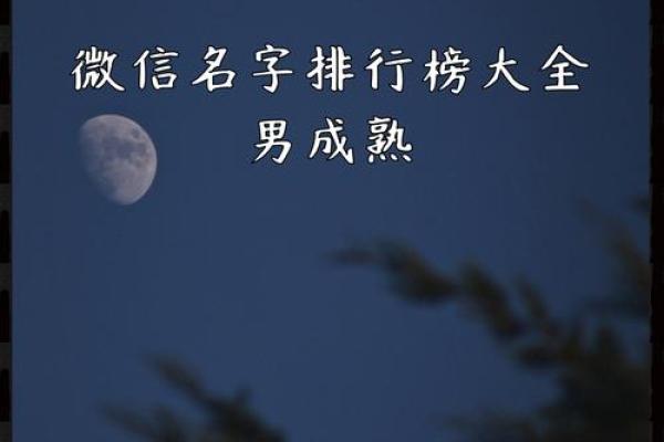 创意十精选足男的生男微信生名字微信推荐，展名字推荐现