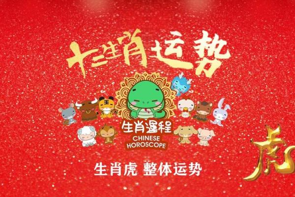 属虎人如何在本命年规划人生蓝图