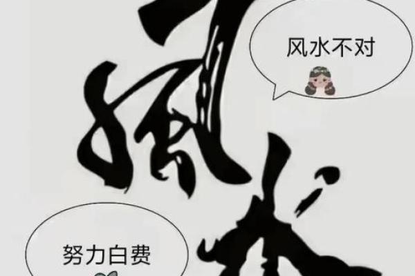 博士风水与现代生活:提升工作和家庭和谐的策略 博士风水与现代生活:提升工作和家庭和谐的策略