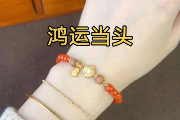 本命年蛇男如何提升社交能力与人际关系