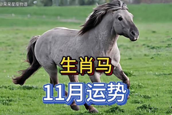 马人每月运势分析，运程波动揭秘