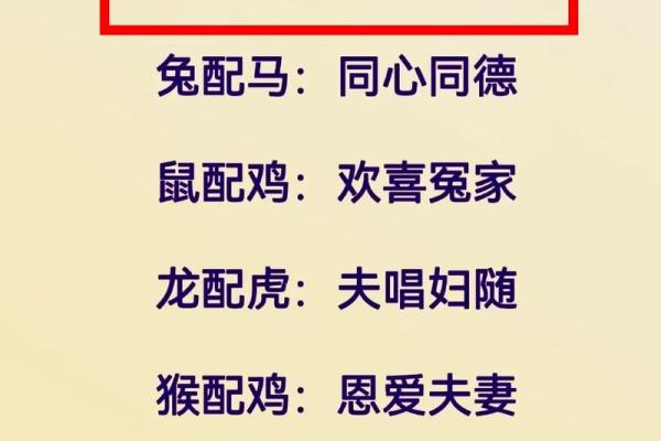 属马女与属虎男的情感契合度分析