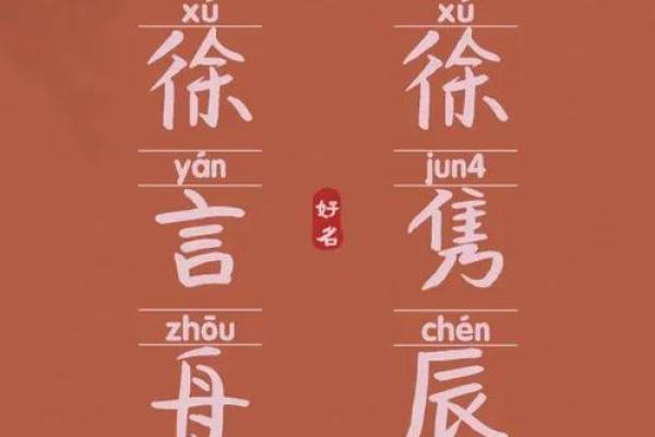 徐姓宝宝起名指南：选择最有意义的名字
