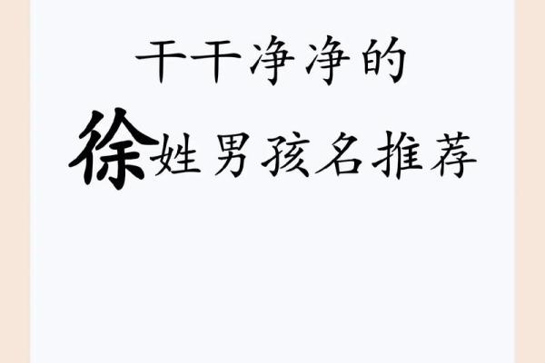 徐姓宝宝起名指南：选择最有意义的名字