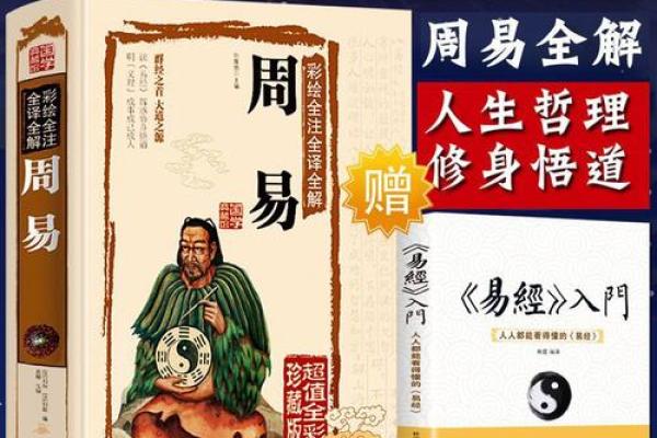 从零开始掌握风水学入门技巧