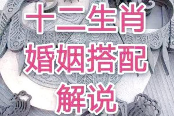 猴马配对的爱情与婚姻走向