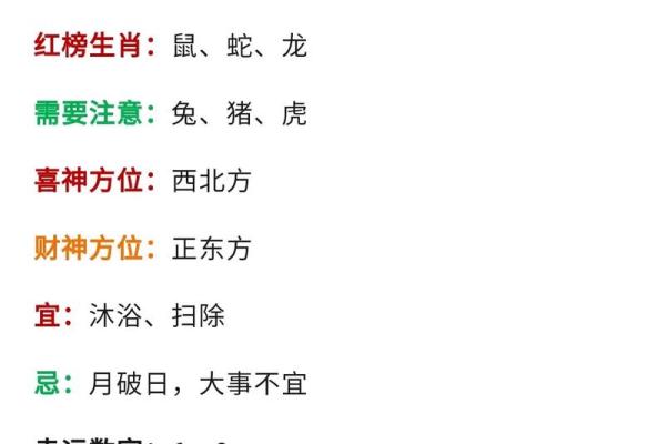 生肖运程揭秘：你会迎来怎样的转机？