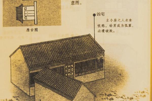 白虎风水在住宅中的吉凶辨析 白虎风水在住宅中的吉凶辨析