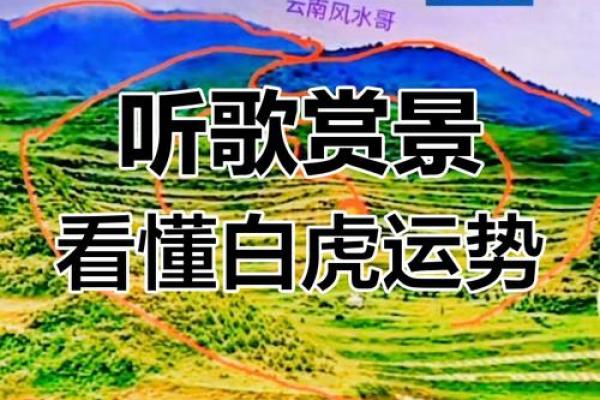 白虎风水在住宅中的吉凶辨析 白虎风水在住宅中的吉凶辨析