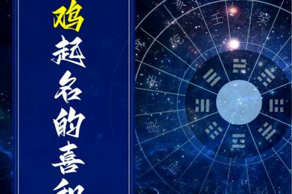 出生的鸡属什么五行？揭秘你的命运密码