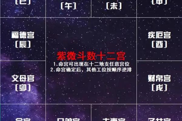 紫薇命理：不同生肖在今年的运程变化