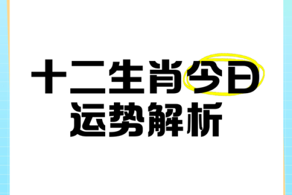 今日十二生肖运势解析，快来看看你的运程如何