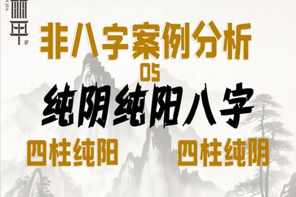 八字纯阳的命运为何如此独特？