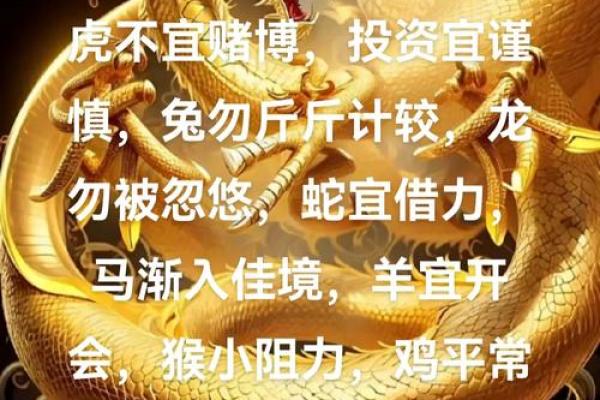 属鼠本命年如何做好心态调整