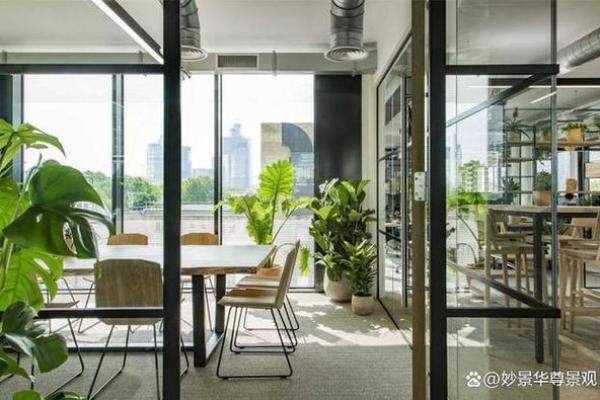 打造有利风水的办公室绿化空间