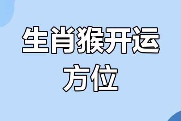 属猴每月运势解析，掌握关键运程